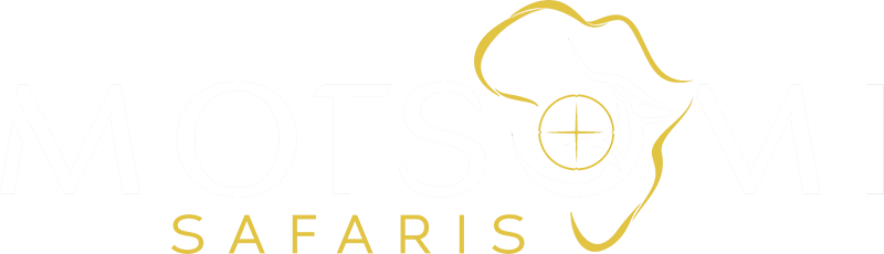 Logo-new-motsomi Motsomi Safaris